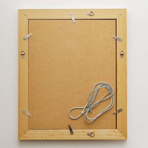 一点物！！コスモス 押し花  DIY品  額縁付き コスモス - 押し花 額・プリザーブドフラワー・ドライフラワー の