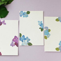 押し花のポストカード3枚セット　本物のお花のハガキ　青と紫のあじさいのポストカード 2枚目の画像