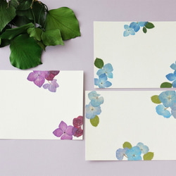 押し花のポストカード3枚セット　本物のお花のハガキ　青と紫のあじさいのポストカード 3枚目の画像