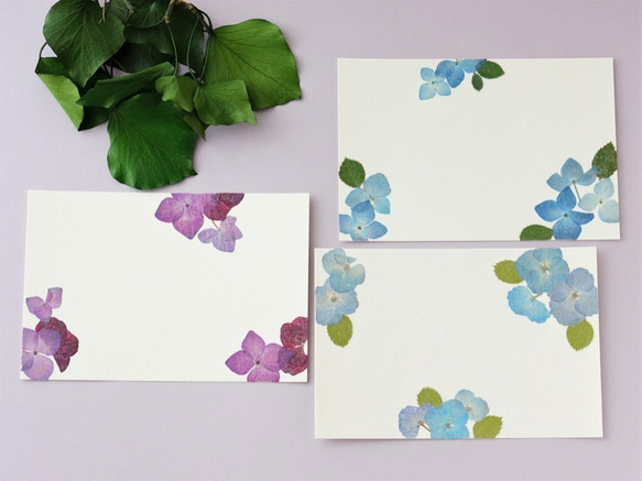 押し花のポストカード3枚セット　本物のお花のハガキ　青と紫のあじさいのポストカード 3枚目の画像