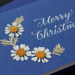 押し花とカリグラフィーのミニクリスマスカード【Merry Christmas】　本物のお花のミニカード　マトリカリア 2枚目の画像