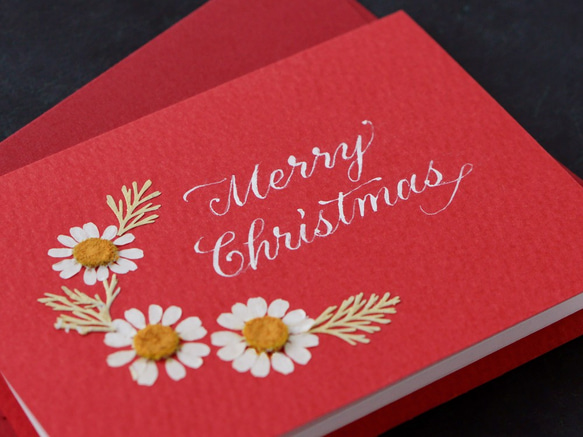 押し花とカリグラフィーのミニクリスマスカード【Merry Christmas】　本物のお花のミニカード　マトリカリア 3枚目の画像