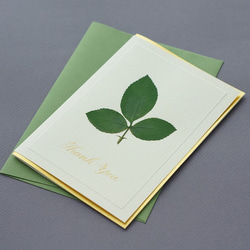 押し花とカリグラフィーのメッセージカード【Thank You】　バラの葉のシンプルデザイン 1枚目の画像