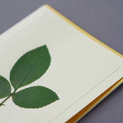 押し花とカリグラフィーのメッセージカード【Thank You】　バラの葉のシンプルデザイン 3枚目の画像