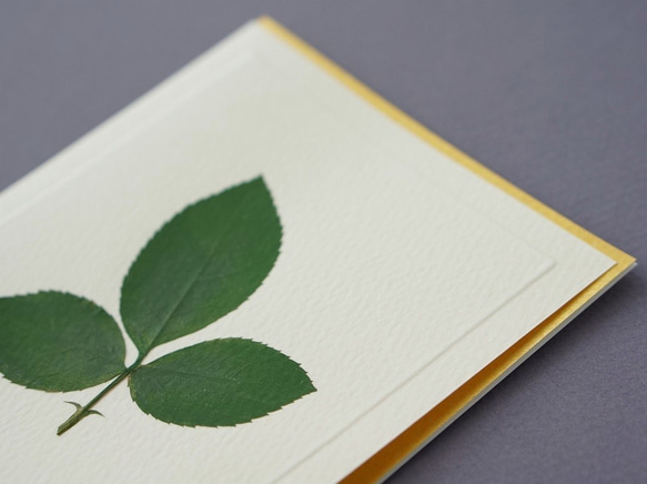 押し花とカリグラフィーのメッセージカード【Thank You】　バラの葉のシンプルデザイン 3枚目の画像