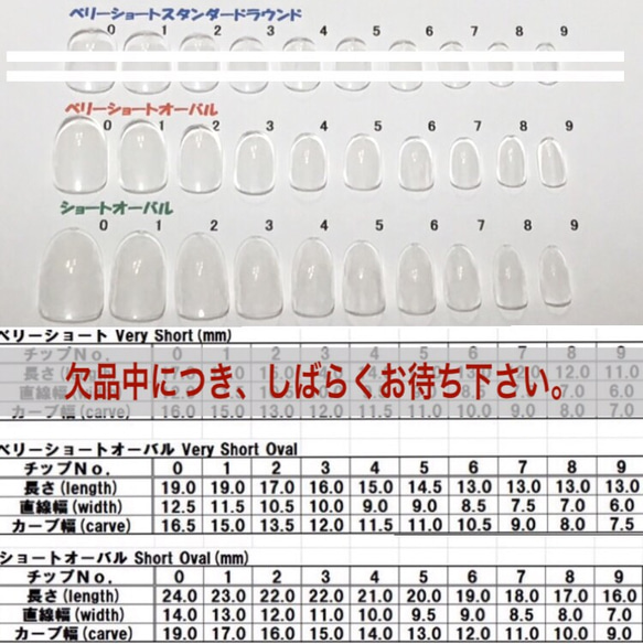  第4張的照片