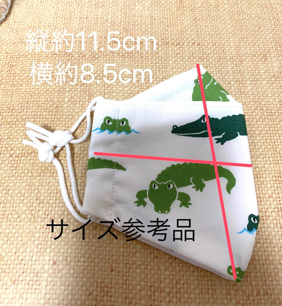  第6張的照片