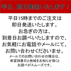 喪服 レディース 大きいサイズ 礼服 ブラックフォーマル 3点セット フォーマル 黒 スカートスーツ おしゃれ 2154 8枚目の画像