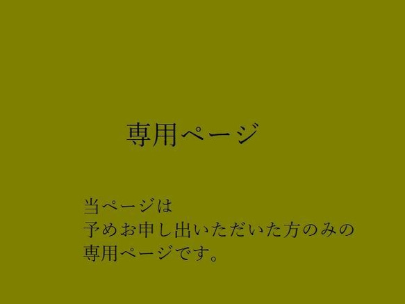 専用ページ(ブラス+シルバーミックス1980円) 1枚目の画像