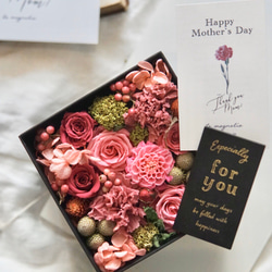 南天と白いしめ縄飾り　スワッグにもなる2way プルモサム　コットン 南天と白いしめ縄飾り スワッグにもなる2way プルモサム