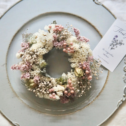 早割) 金柑と姫五葉松のしめ縄飾り Bonne année2023 No.20ドライ