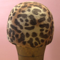 IRUKA(leopard) 4枚目の画像