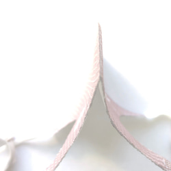 【選べる7色】リス クルミの枝 デザインマスク ✽ 小顔に見える！美しいフェイスライン ✽ くすみカラーマスク 10枚目の画像