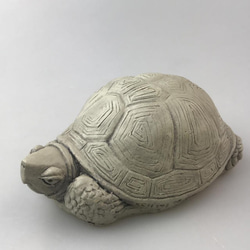 亀の置物オブジェガーデニング その他インテリア雑貨 mssmv69517 通販