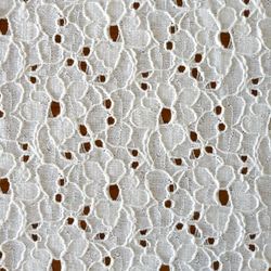 野に咲く様な花柄の綿レース　【オフ白】幅103cm×長さ30cm D/#LB3607NC 1枚目の画像