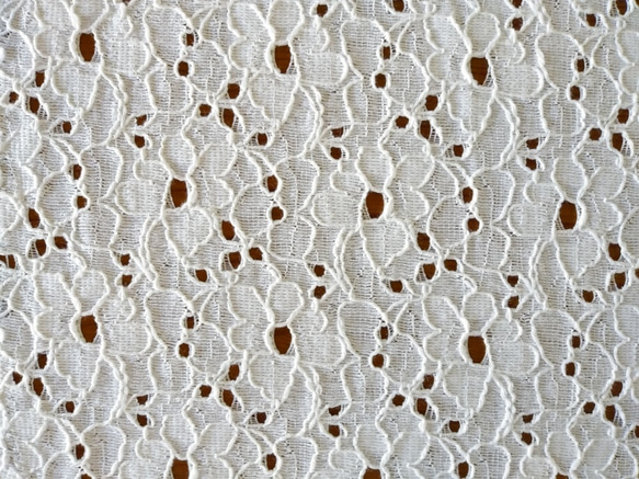 野に咲く様な花柄の綿レース　【オフ白】幅103cm×長さ30cm D/#LB3607NC 1枚目の画像