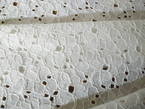野に咲く様な花柄の綿レース　【オフ白】幅103cm×長さ30cm D/#LB3607NC 2枚目の画像