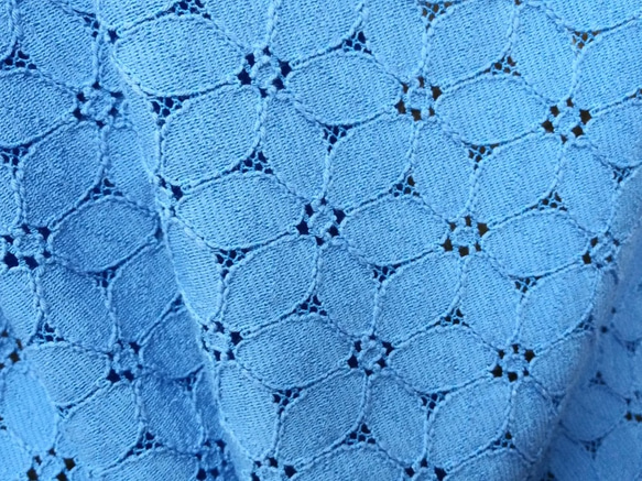 マーガレットイメージの花柄の綿レース【ブルー】幅112cm×幅50cm　D/#LB42126NC2 2枚目の画像