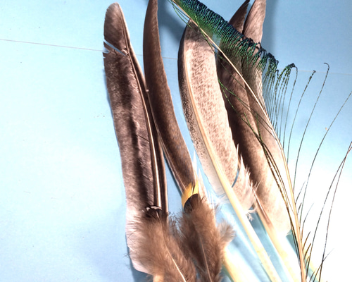 浄化】スマッジングファン（フェザー）（ワンド）用 材料 羽根類8点