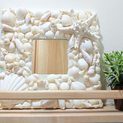 シェルミラー✧*。鏡/貝殻/シェル/お祝いプレゼントにも。 壁掛け