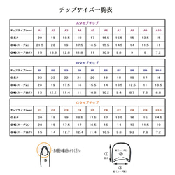 ネイリストが作る⭐︎オーダーネイルチップ　022 2枚目の画像