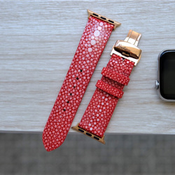 キャンペン中 高級革使用 スティングレイ　エイ革　スターマーク　Applewatchベルト　腕時計 バンド　本革　 1枚目の画像