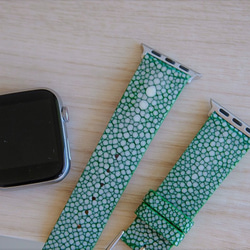 高級革使用 スティングレイ　エイ革　スターマーク　Applewatchベルト　腕時計 バンド　本革　グリーン 2枚目の画像