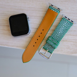 高級革使用 スティングレイ　エイ革　スターマーク　Applewatchベルト　腕時計 バンド　本革　グリーン 3枚目の画像