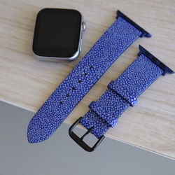 キャンペン中 高級革使用】スティングレイ　エイ革　Applewatchベルト　腕時計 バンド　ブルー 2枚目の画像