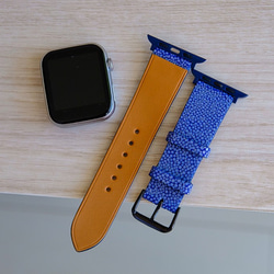 キャンペン中 高級革使用】スティングレイ　エイ革　Applewatchベルト　腕時計 バンド　ブルー 3枚目の画像