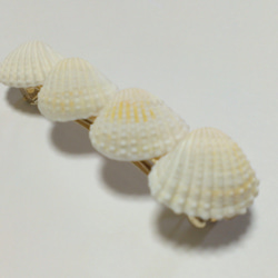 貝殻バレッタ(送料無料) 3枚目の画像