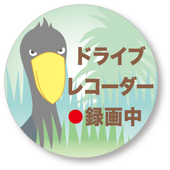 車用マグネットステッカー　ハシビロコウがするどい目力で ドライブレコーダー搭載＆録画中アピール 1枚目の画像