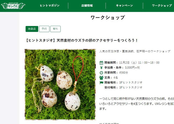 イースター！一生ものの技術「うずらの卵のレジンアクセサリー」に特化したハンドメイド講師・販売のキット。SDG'sな作品 7枚目の画像