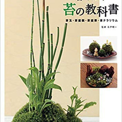 恐竜時代を思わせるファンタージー苔テラリウム。ステイホーム。お子様や家族で育てて楽しく！イースターイベントでも使えます。 10枚目の画像