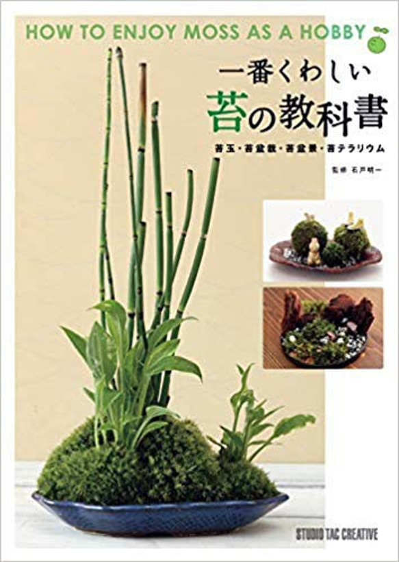 恐竜時代を思わせるファンタージー苔テラリウム。ステイホーム。お子様や家族で育てて楽しく！イースターイベントでも使えます。 10枚目の画像