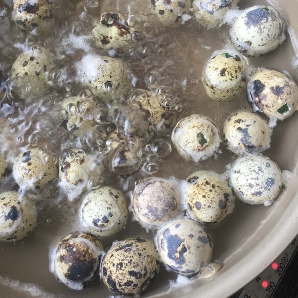 インコのエサが入ったガラスドームを使ったスケルトンタイプのうずらの卵のレジンピアス（orイヤリング）鳥好きさんに人気。 7枚目の画像