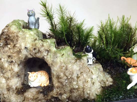 猫の聖地！谷中銀座を表現した苔のテラリウム。１品物。 8枚目の画像