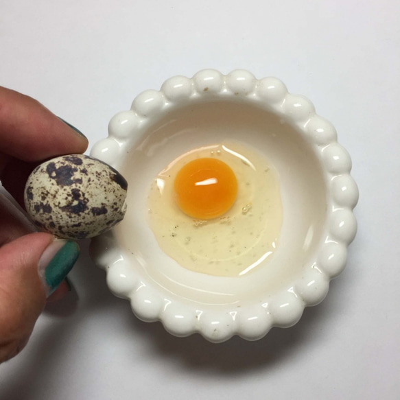 天然素材のウズラの卵の殻のレジンイヤリング。「SDG's」 6枚目の画像