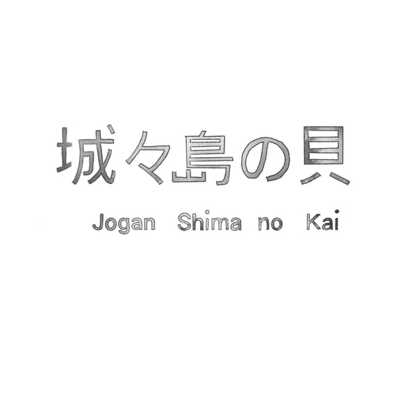 城ケ島の貝 l　Shell in Jogashima ー Bracelet l 2枚目の画像