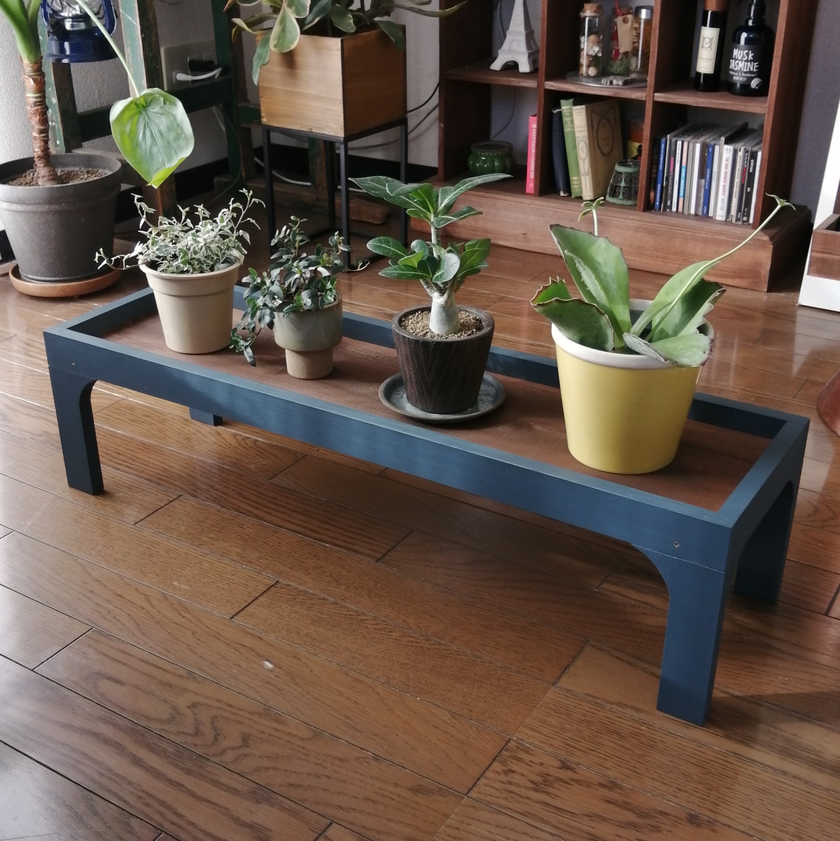 【Navy Type】観葉植物ラック 飾り台