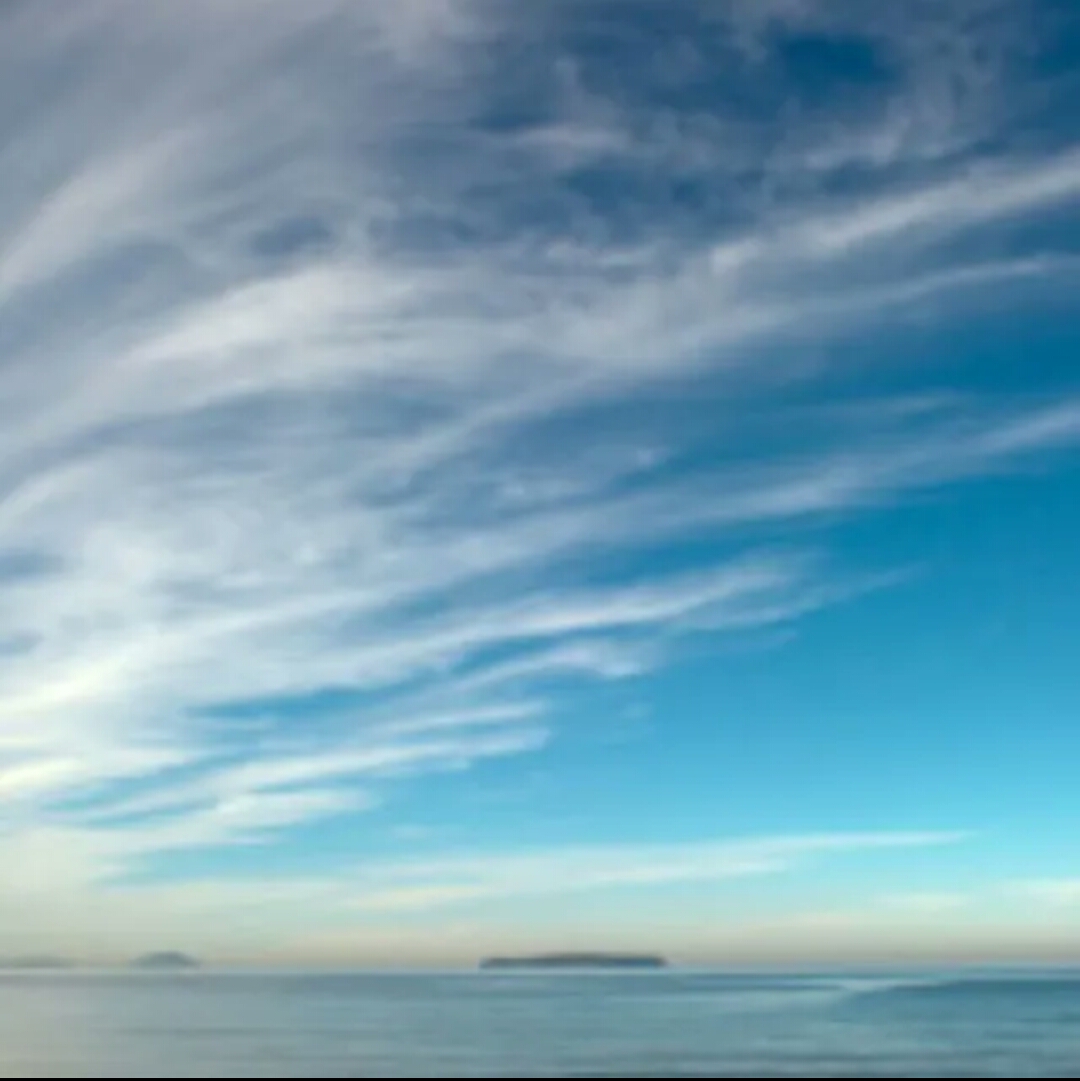 【オーダー専用ページ】