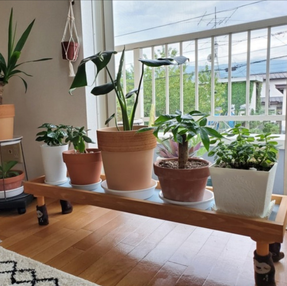 【人気No1✨】観葉植物ラック Green Stand 飾り台 (サイズオーダー可) ★ペットのフードスタンドとしても 11枚目の画像