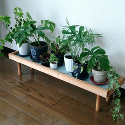 観葉植物 棚 のおすすめ人気通販 検索結果｜Creema(クリーマ