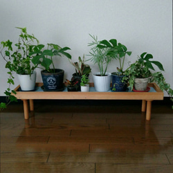 【人気No1✨】観葉植物ラック Green Stand 飾り台 (サイズオーダー可) ★ペットのフードスタンドとしても 2枚目の画像