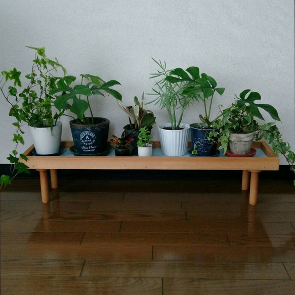 【人気No1✨】観葉植物ラック Green Stand 飾り台 (サイズオーダー可) ★ペットのフードスタンドとしても 2枚目の画像