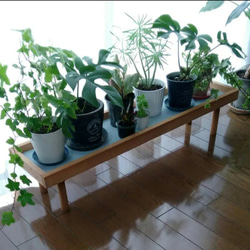 【人気No1✨】観葉植物ラック Green Stand 飾り台 (サイズオーダー可) ★ペットのフードスタンドとしても 4枚目の画像