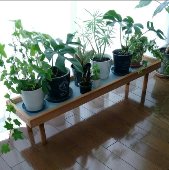【人気No1✨】観葉植物ラック Green Stand 飾り台 (サイズオーダー可) ★ペットのフードスタンドとしても 4枚目の画像