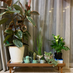 【人気No1✨】観葉植物ラック Green Stand 飾り台 (サイズオーダー可) ★ペットのフードスタンドとしても 7枚目の画像