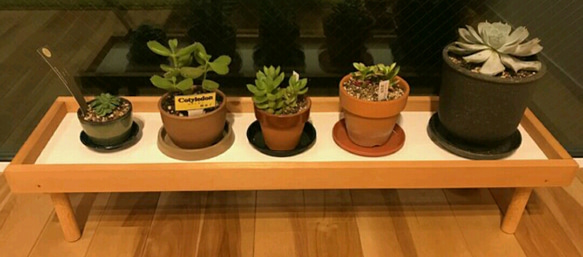 【人気No1✨】観葉植物ラック Green Stand 飾り台 (サイズオーダー可) ★ペットのフードスタンドとしても 10枚目の画像