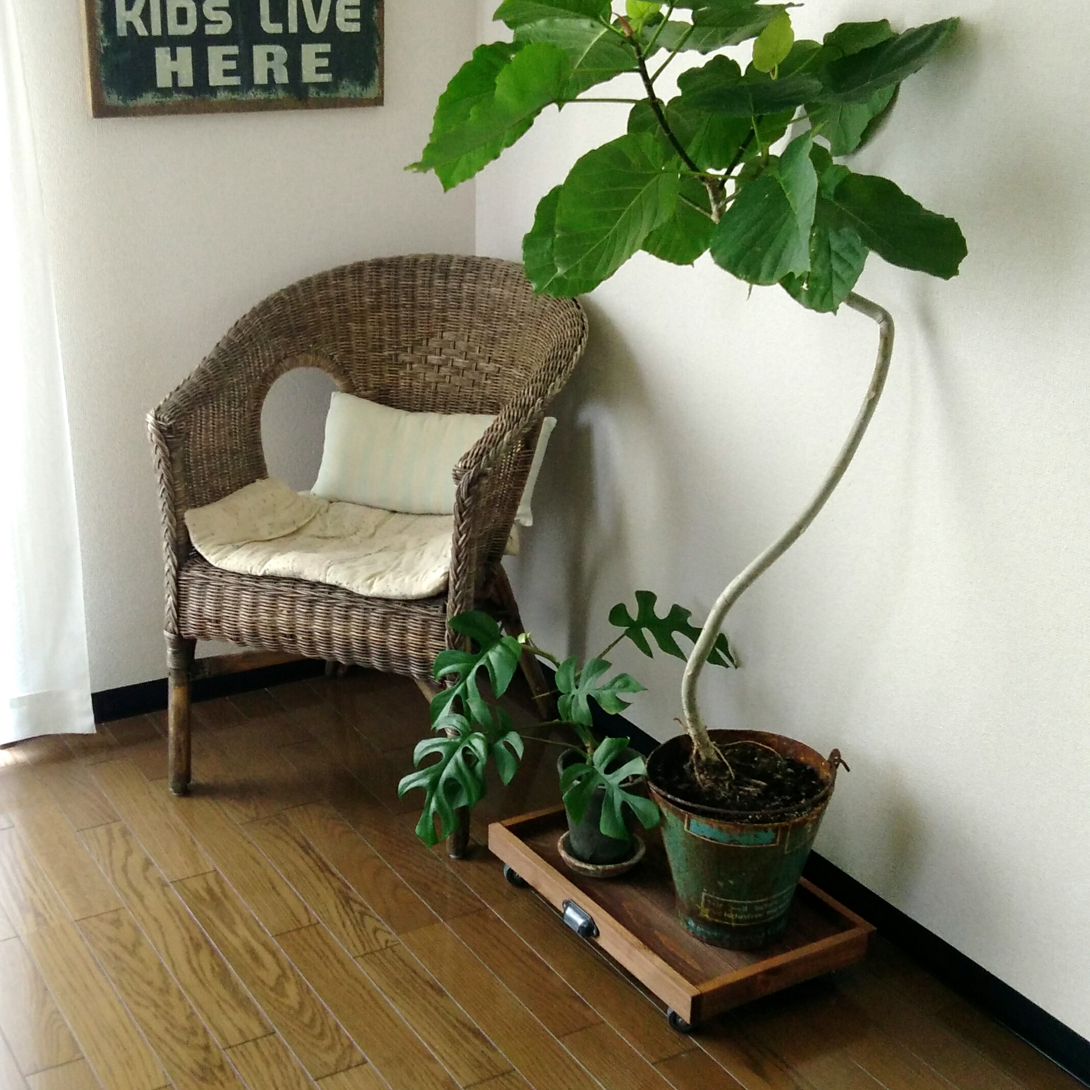 キャスター付き 木製プランターテーブル　　 （Lサイズ）